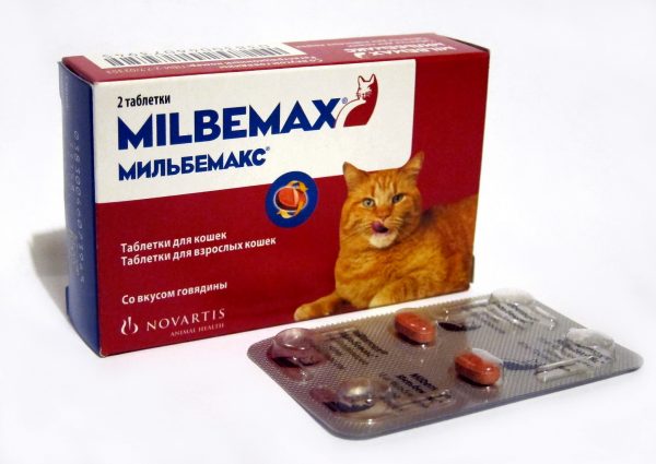Необхідно враховувати, що таблетки, краплі та спреї можна застосовувати у маленьких кошенят