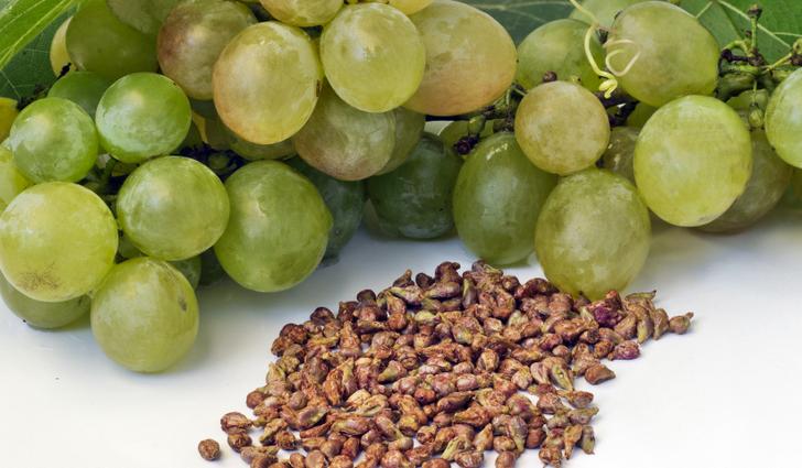 Корисні властивості винограду і кісточок
